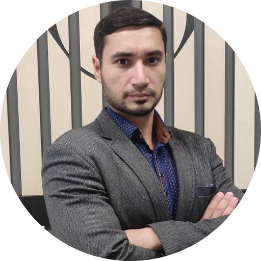 Э. Мамедов.png